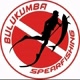 Bulukumba Spearfishing
