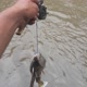 mancing ngurusuk