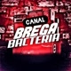 🔔CANAL.BREGA.BACTERIA🔔