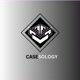 Casesology