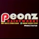peonz paintworks