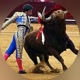 Bullfighter