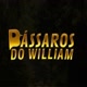 Pássaros do William