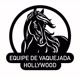 Equipe de vaquejada Hollywood🐎🤎