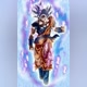 RAJA GOKU