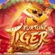 Fortune_tiger2023