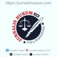 Jurnalis Hukum