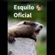 Esquilo 🐿️ Oficial