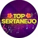 topsertanejo13