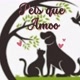 Pets Que Amooo