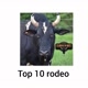 Top 10 rodeo
