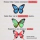 frases motivação 🌷🌷🌷
