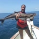 Sea Hunter Fishing