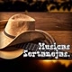 Músicas sertanejas