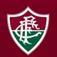 fluminense futebol clube
