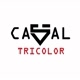 _casaltricolor