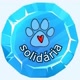 Patinha Solidária 🐾