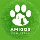 Amigos com patas