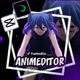 AnimEditor____