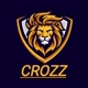 CROZZ CPT 12213id