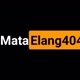 MataElang404 Project
