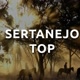 sertanejotop🎼🎼🎵🎶