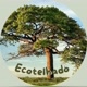 Ecotelhado