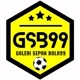 Galeri Sepakbola