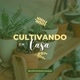 Cultivando em casa !