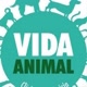 vida animal