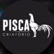 Piscastudbrasil