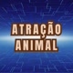Atração Animal