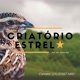 CRIATORIO ESTRELA