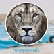 🔥 NB 🔥 FunnyAnimals