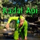 KADAL API