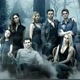 Tvd_series.ofc