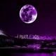 l purble you-💜