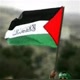 Palestina Freedom