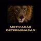 Motivação e Determinação