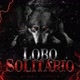 LOBO SOLITÁRIO
