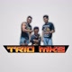TRIO_MKS