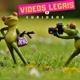 Vídeos legais