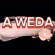A WEDA💫