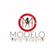 Modelo Rio Brasil