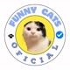 Funny Cats Video Oficial