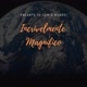 Incrivelmente Magnífico