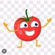 oficial tomate