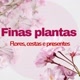 Finas Plantas253