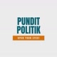 punditpolitik