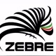 LE ZEBRE FANS JUVE